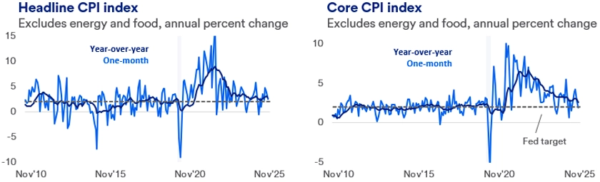 Two line graphs comparing Headline and Core CPI Index changes from 2010 to 2025. The first line graph illustrates the annual changes in the Headline CPI Index from 2010 to 2025, showing fluctuations influenced by economic trends, energy prices, and other external factors. The second line graph focuses on the Core CPI Index, which excludes volatile items like food and energy, providing a clearer view of underlying inflation trends over the same period. 
