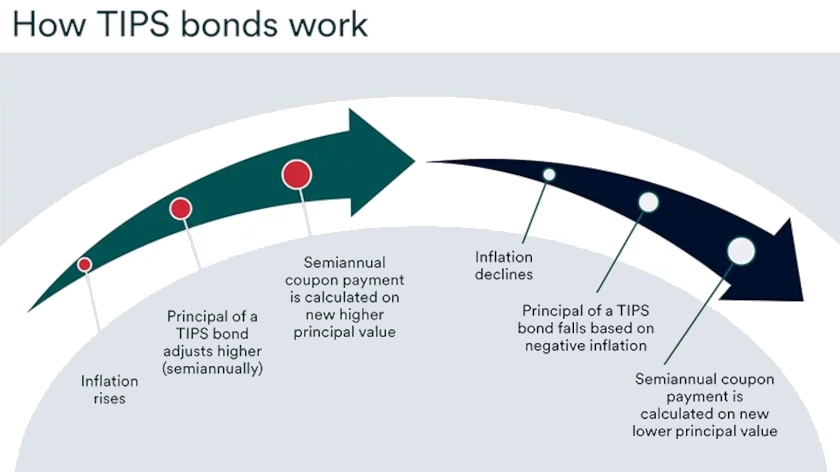 Image illustrated how TIPS bonds work, including inflation adjustments and coupon payments.