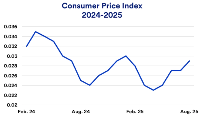 Chart depicts Conumer Price Index February 2024 - August-2025