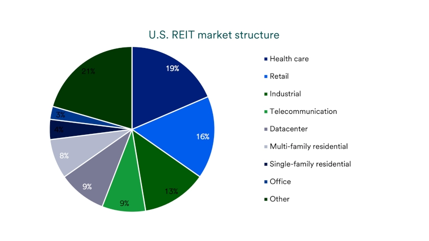 Chart depicts the market structure of U.S. REITs.