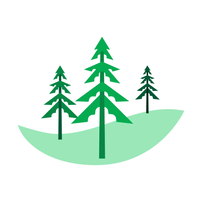 Illustration of green pine trees