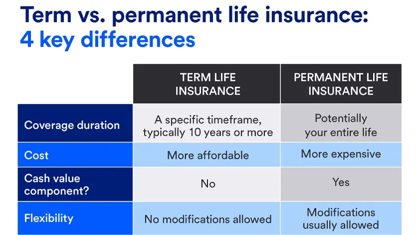 Visual chart depicting the differences between term and permanent life insurance.