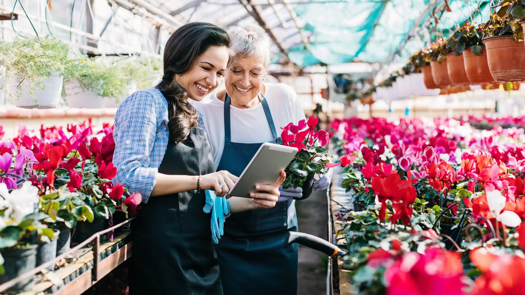 business owner discussing