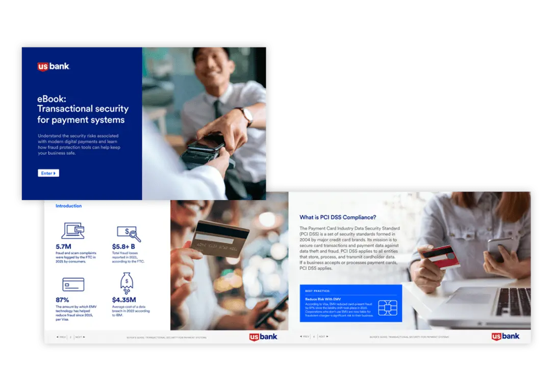 Payment fraud e-book