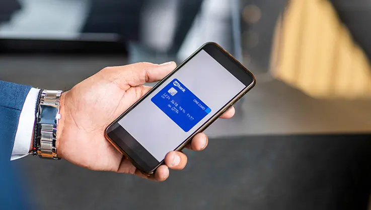 A smartphone displaying a payment gateway API integration.