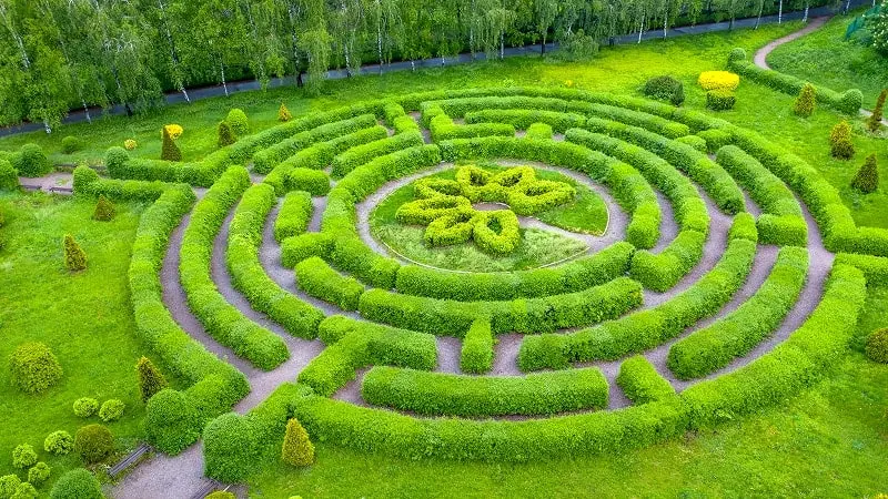 Image of hedges trimmed into a maze-like configuration