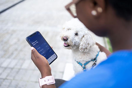 Over the shoulder view of a young African woman using mobile app