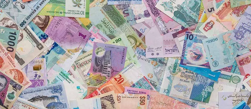 man looking at computer