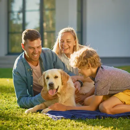 Compare your home loan options