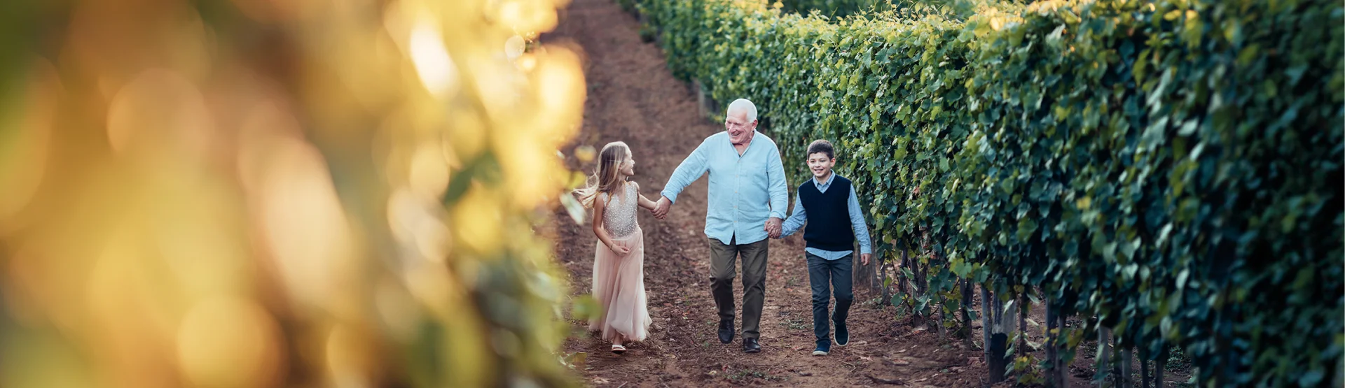 A grandfather walking through a vineyard with his granddaughter and grandson.