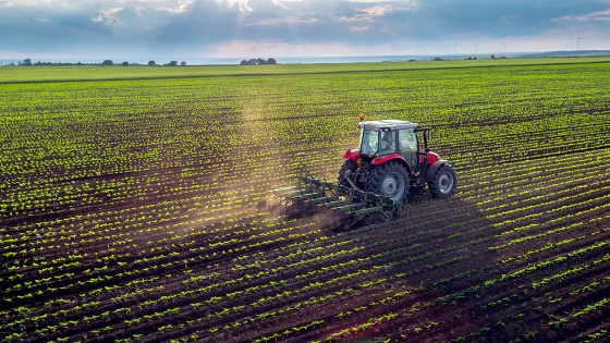 Tractor working in green farm field with crops