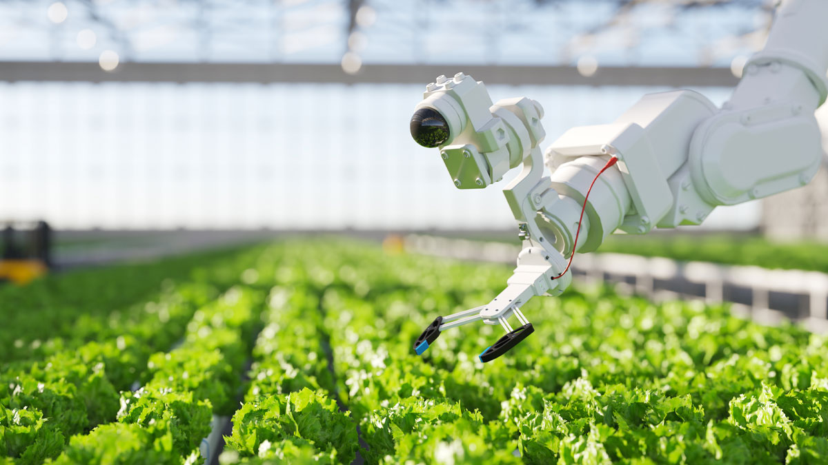 https://www.usbank.com/content/dam/usbank/en/images/photos/wealth-management/photo-hydroponic-robot-farming-16x9.jpg