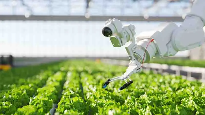 robot technology in use with hydroponic farming