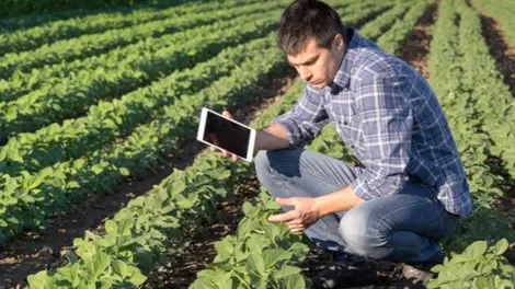 man holding tablet in field of crops