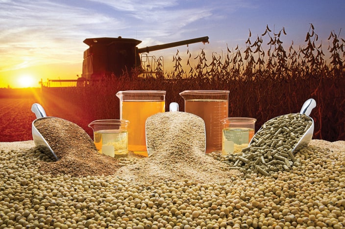 Close-up of freshly harvested soybeans, with a combine in the background.