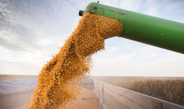 How commodity prices can impact the market and inflation.