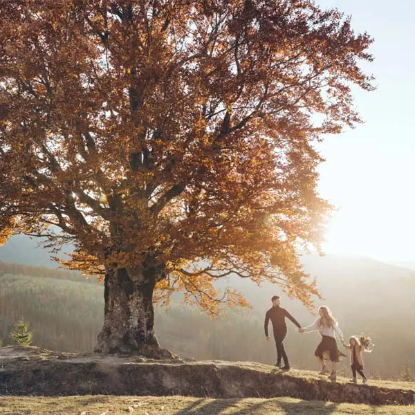 Sustaining your family's private capital