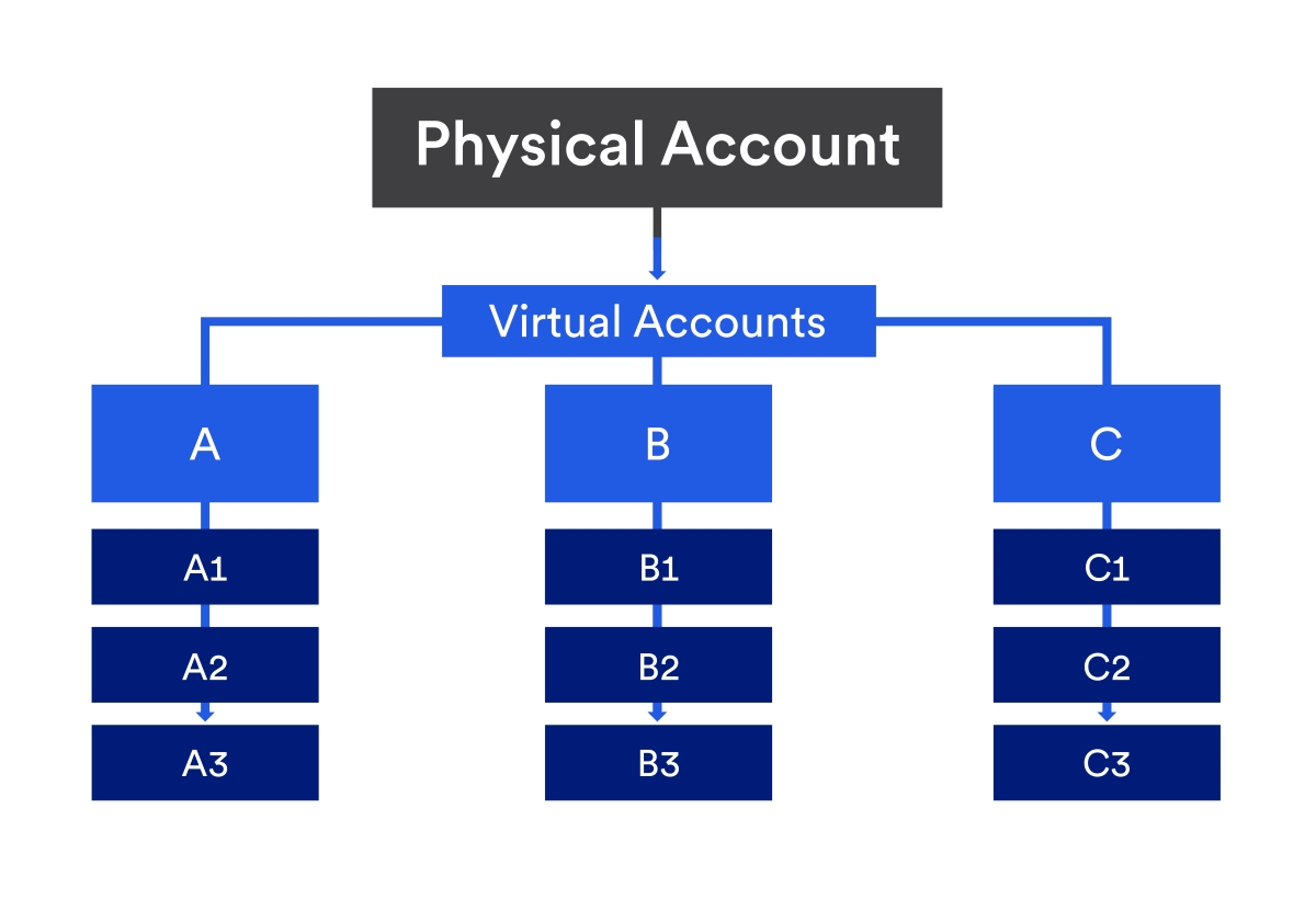 Physical Account - Virtual Accounts