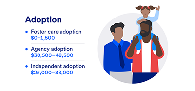 chart showing costs of different types of adoption