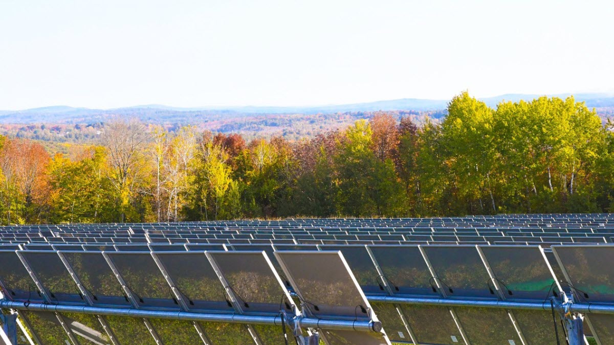 Photo of thousands of solar panels, in rows, in a forested area of rolling hills.