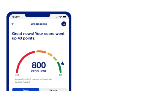 Credit score view in the U.S Bank mobile banking app